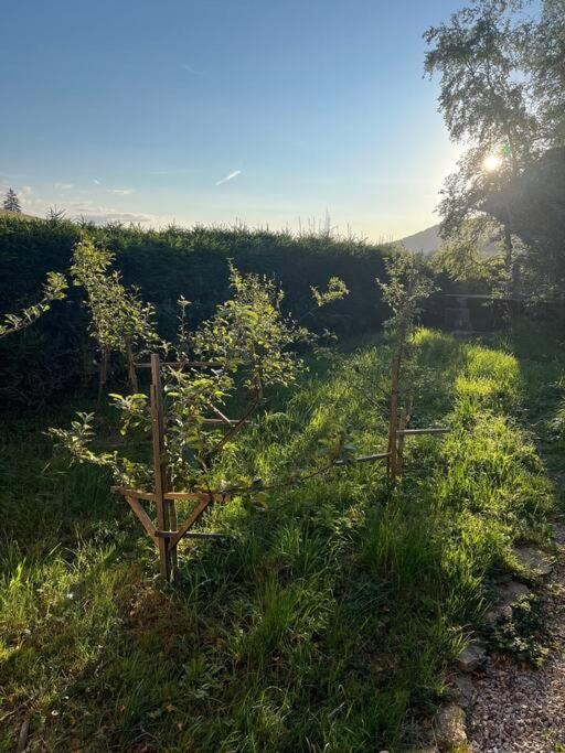 Nuit Insolite - La Cabane Du Haut-Doubs Les Gras Εξωτερικό φωτογραφία