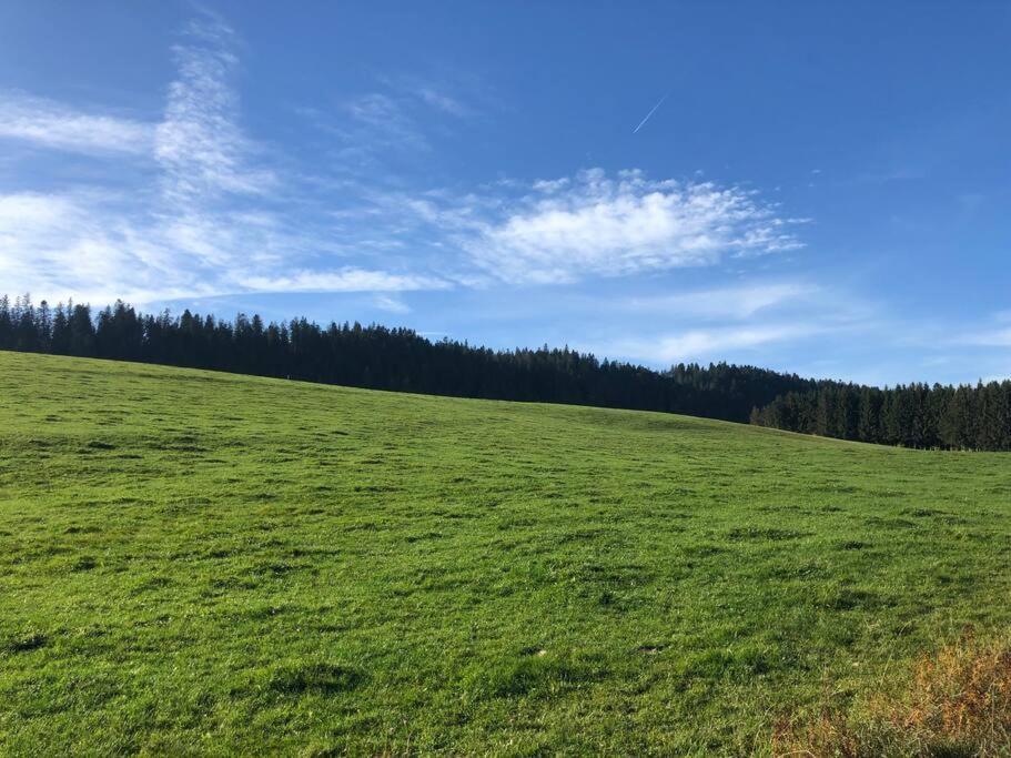 Nuit Insolite - La Cabane Du Haut-Doubs Les Gras Εξωτερικό φωτογραφία